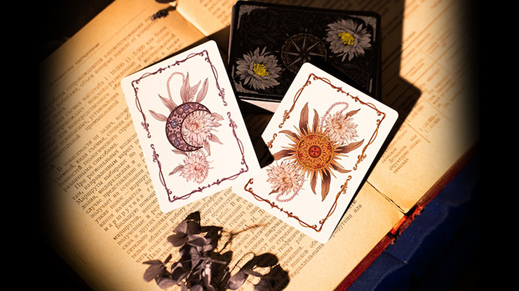 Epiphyllum by About Cardistry