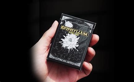 Epiphyllum by About Cardistry