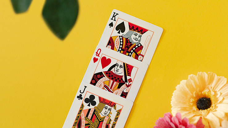 Butterfly Seasons Summer (marked) by Ondrej Psenicka