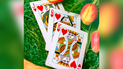 Butterfly Seasons Spring (marked) by Ondrej Psenicka