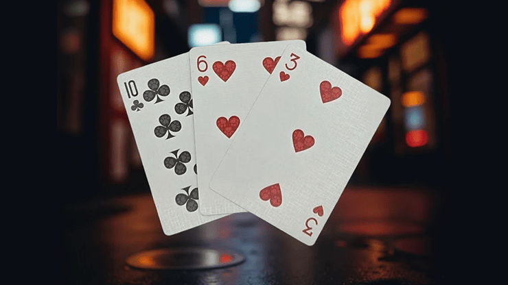 Biker Cats by Collectable Playing Cards - Carti De Joc Premium