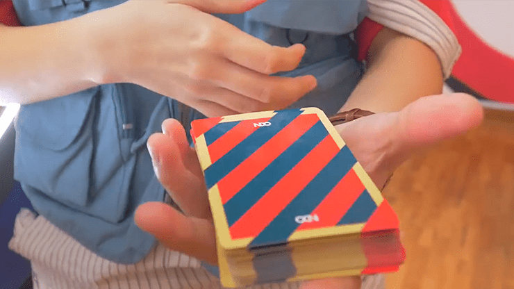 Broken Borders 2019 by The New Deck Order - Carti De Joc Premium