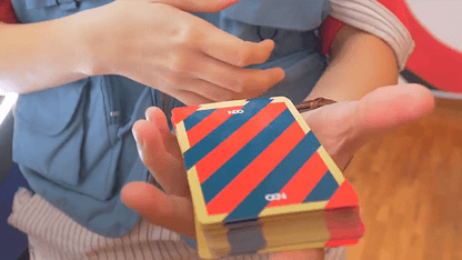 Broken Borders 2019 by The New Deck Order - Carti De Joc Premium