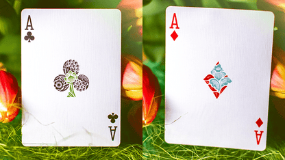 Butterfly Seasons Spring (marked) by Ondrej Psenicka - Carti De Joc Premium