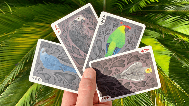 Carti de joc Bicycle Parrot by PlayingCardDecks - Carti De Joc Premium