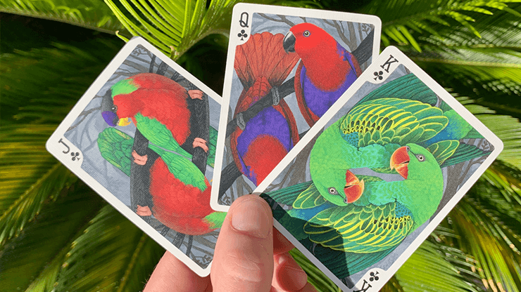 Carti de joc Bicycle Parrot by PlayingCardDecks - Carti De Joc Premium