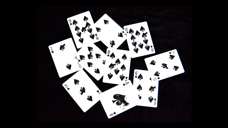 Carti de joc Shadows by The Awarness Playing Cards - Carti De Joc Premium