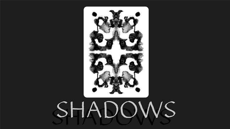 Carti de joc Shadows by The Awarness Playing Cards - Carti De Joc Premium